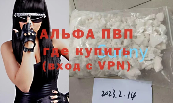 прущие грибы Нязепетровск