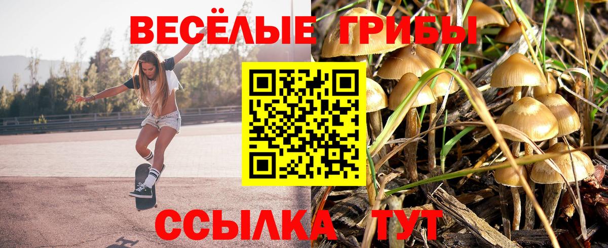 Псилоцибиновые грибы Psilocybine cubensis Холмск