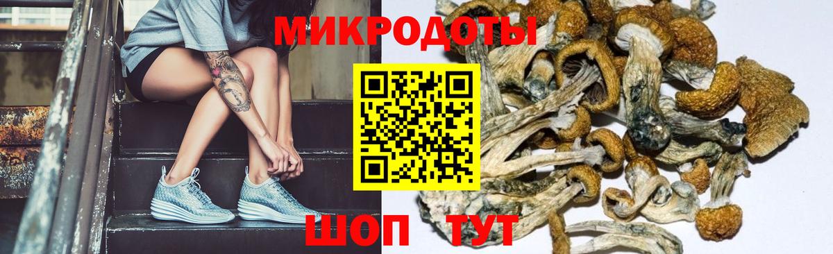 Холмск  наркошоп  Галлюциногенные грибы прущие грибы  Вход с VPN  Псилоцибиновые грибы Cubensis 