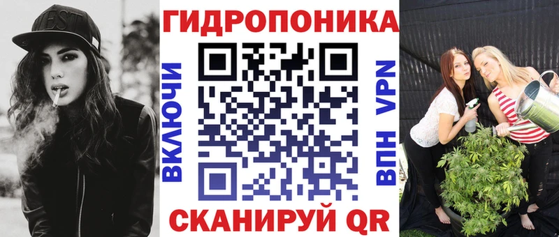 OMG ссылки Холмск Бошки Шишки семена
